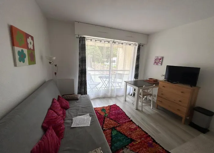 Studio-cabine, Acces Direct Port Et Plage, Les Pieds Dans L'eau アルカション